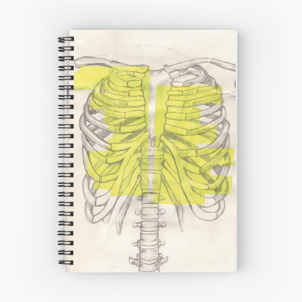 Item preview, vintage drawing of a thoracic skeleton ribs designed and sold by Finnschy.