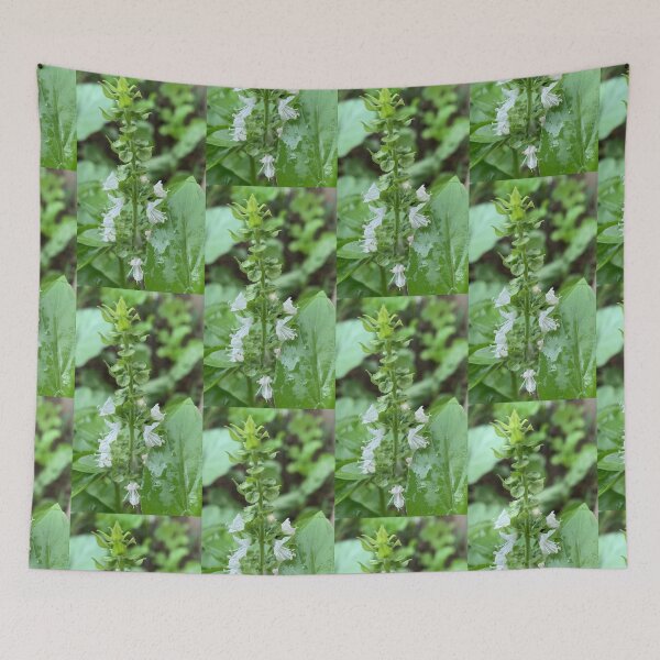Item preview, Basil flower  designed and sold by baksuart.