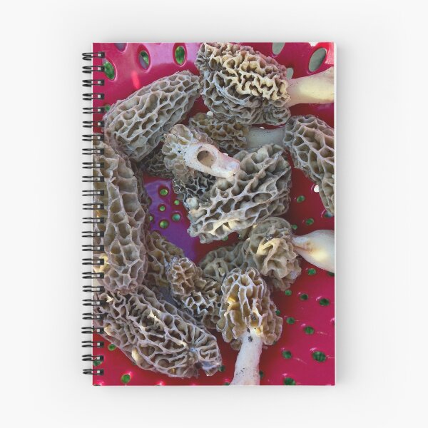 Item preview, Raw organic morel mushrooms designed and sold by JuliVogel.
