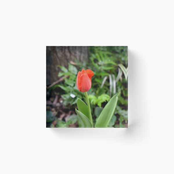 Item preview, Tiptoe Through the Tulips designed and sold by DancingCacti.