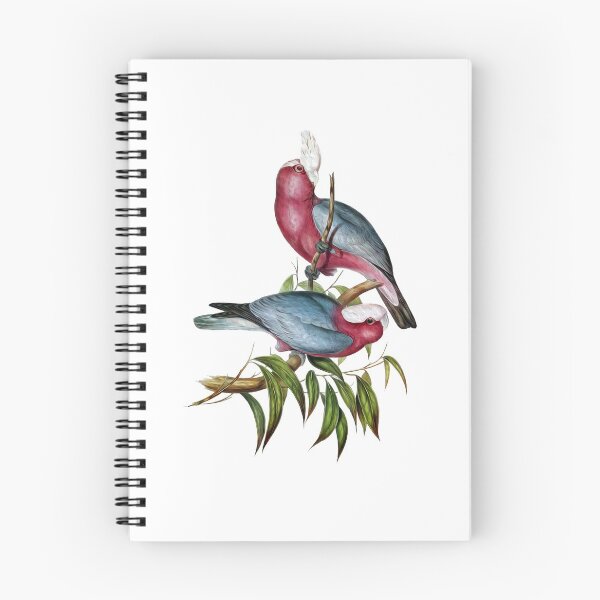 Item preview, Pintura al óleo vintage de cacatúa de pecho rosa designed and sold by VntgDesignCo.
