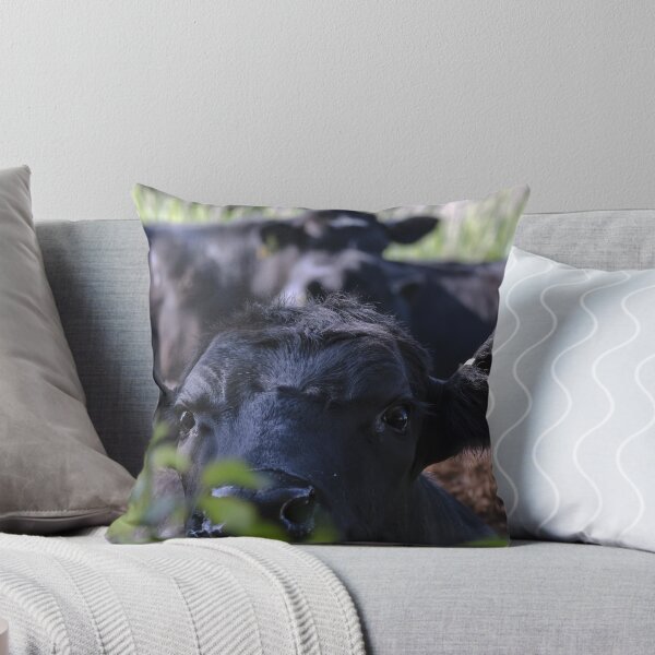 Item preview, Cattle designed and sold by Paul Spear.