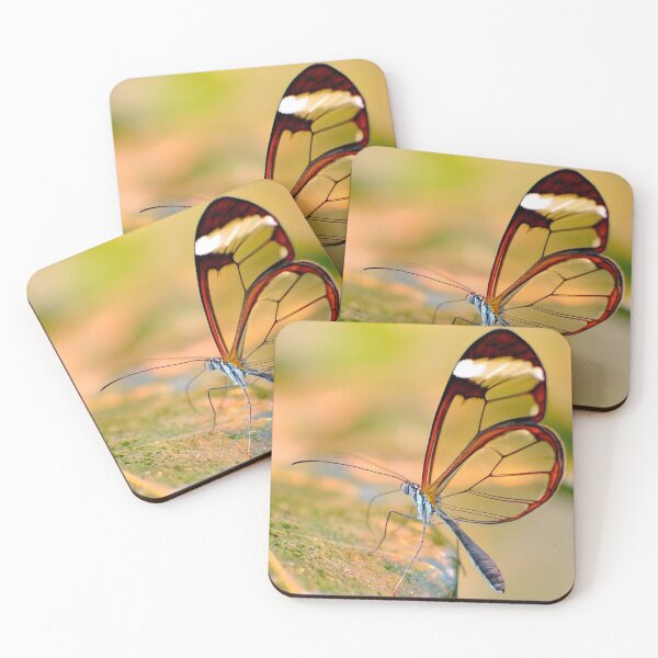 Item preview, Glasswing Butterfly designed and sold by DesignMore21.