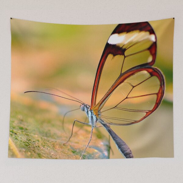 Item preview, Glasswing Butterfly designed and sold by DesignMore21.