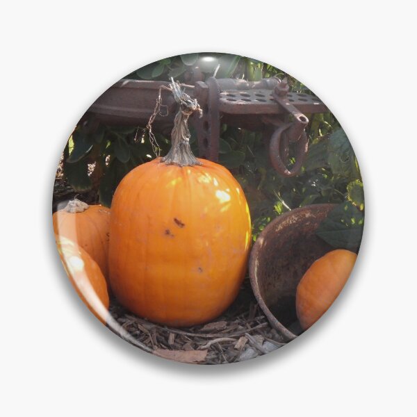 Item preview, Pumpkin's in the Fall designed and sold by Maldacai.