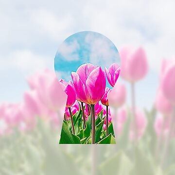Artwork thumbnail, Tulip Field Keyhole View by Cinders-Embers