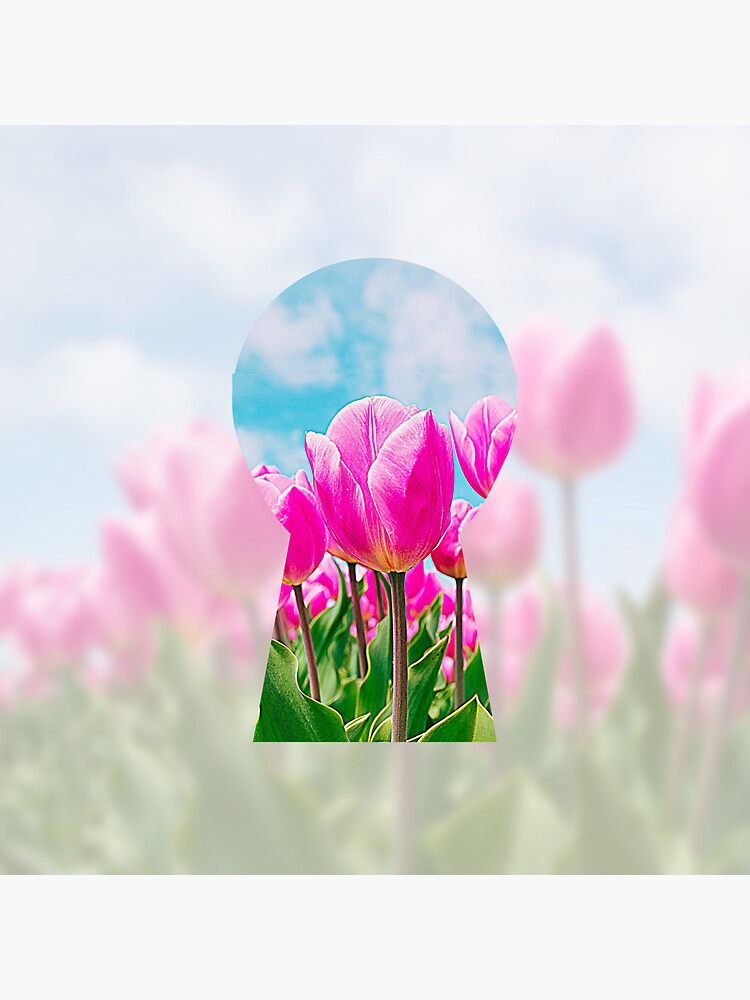 Thumbnail 3 of 3, Sticker, Tulip Field Keyhole View designed and sold by Cinders-Embers.