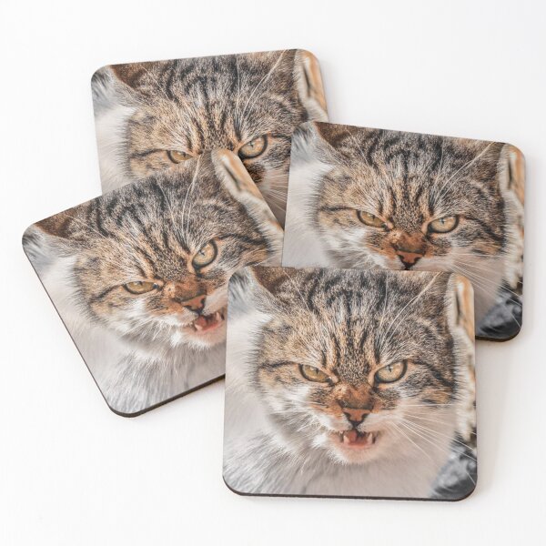Item preview, stray cats designed and sold by JULIO0666.