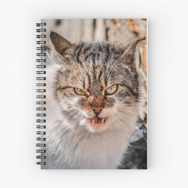 Item preview, stray cats designed and sold by JULIO0666.