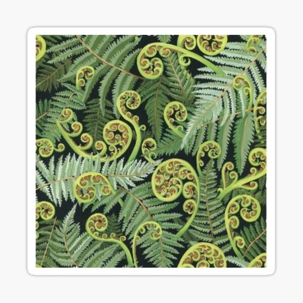 Fern frond / Koru 