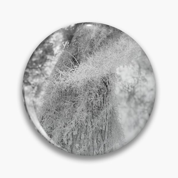 Item preview, Mysterious Moss, Southern Live Oak, June 2020 designed and sold by GossamerSky.