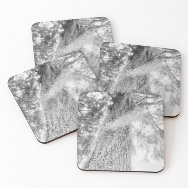 Item preview, Mysterious Moss, Southern Live Oak, June 2020 designed and sold by GossamerSky.