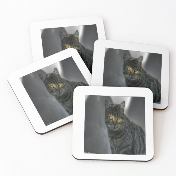 Item preview, GATOS CALLEJEROS designed and sold by JULIO0666.