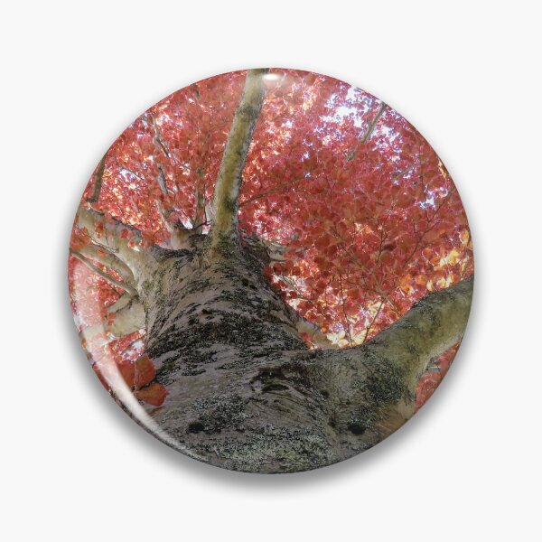 Item preview, Looking Up Into Trees - 3 designed and sold by Monica-Stroud.