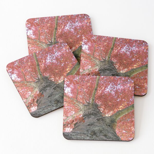 Item preview, Looking Up Into Trees - 3 designed and sold by Monica-Stroud.