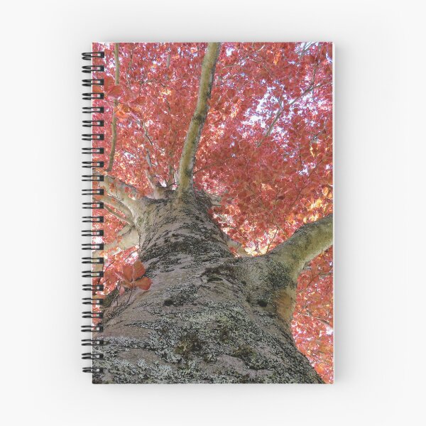 Item preview, Looking Up Into Trees - 3 designed and sold by Monica-Stroud.