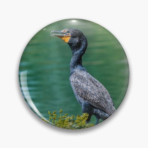 Item preview, Double-Crested Cormorant  designed and sold by Jeff Goulden Photography.