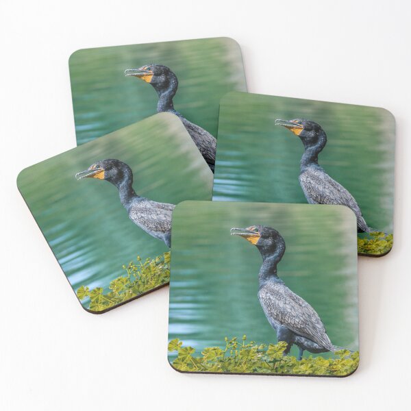 Item preview, Double-Crested Cormorant  designed and sold by Jeff Goulden Photography.