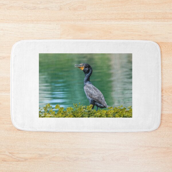 Item preview, Double-Crested Cormorant  designed and sold by Jeff Goulden Photography.