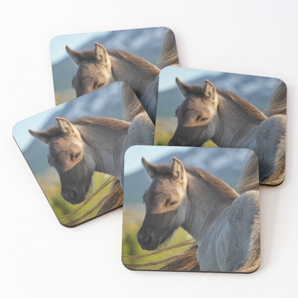 Item preview, Little foal in the evening sun designed and sold by elisainiceland.
