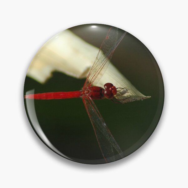 Item preview, Dragon Fly designed and sold by Natika.
