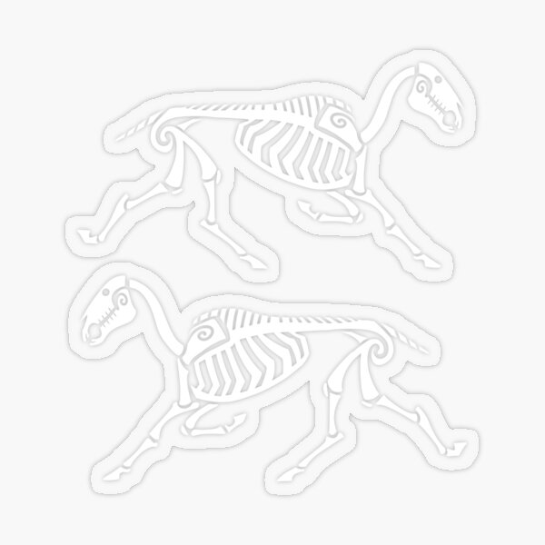 Aperçu de l'œuvre Glyphe Squelette de cheval - Blanc créée et vendue par PaleoPanthera.