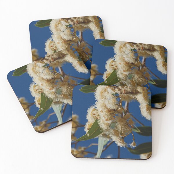 Item preview, Nuevo Testamento designed and sold by Natika.