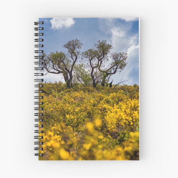Item preview, Lesueur National Park erupts into colour designed and sold by Ricjacyno.
