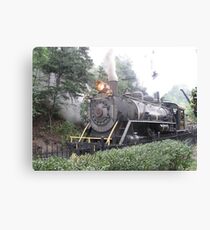 Dollywood Express Canvas Print