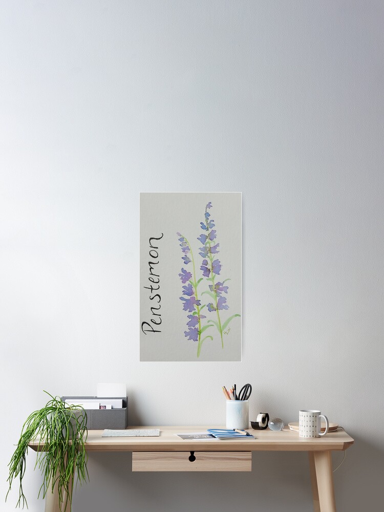 Thumbnail 2 of 3, Poster, Purple Penstemon designed and sold by WallaceColor.