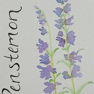 Artwork thumbnail, Purple Penstemon by WallaceColor