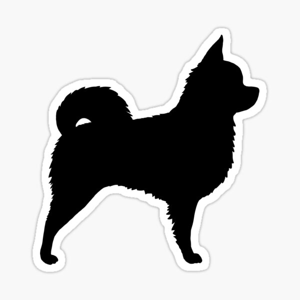 Black Longhaired Chihuahua Silhouette(S)