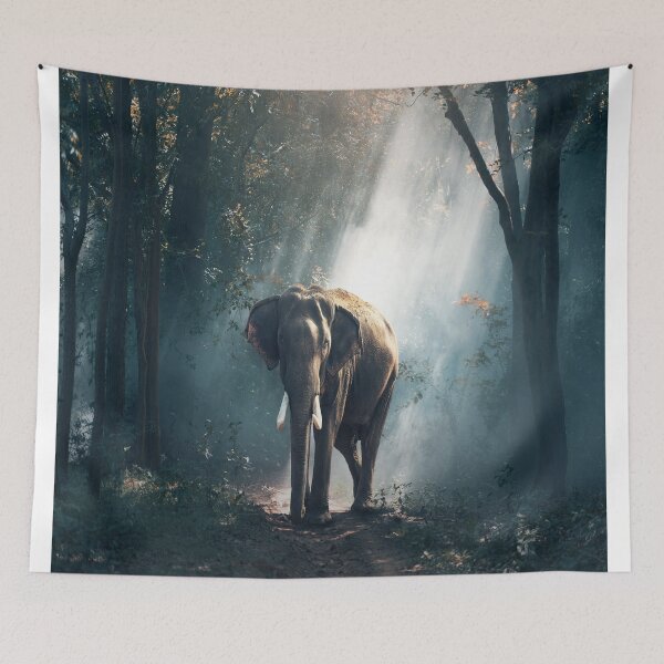 Item preview, elephant photography designed and sold by KrasimiraKO.