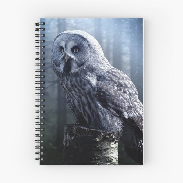 Item preview, owl photography designed and sold by KrasimiraKO.