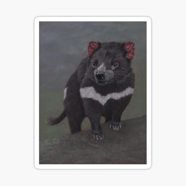 "Vegemite" the Tasmanian Devil Sticker