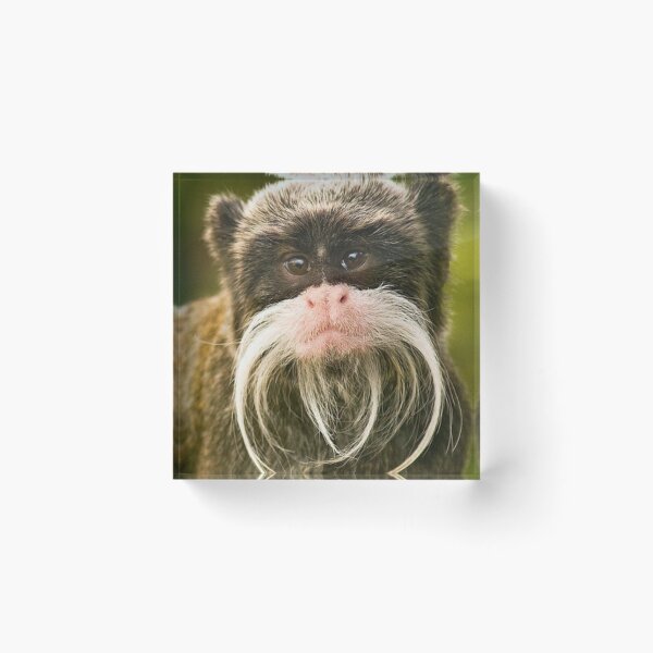 Item preview, I love the beard designed and sold by JULIO0666.