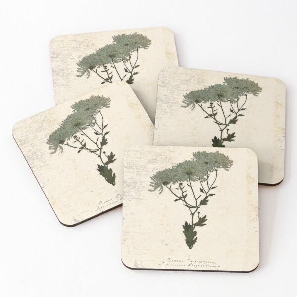 Dark Academia Vintage Chrysanthemum Coasters (Set of 4)