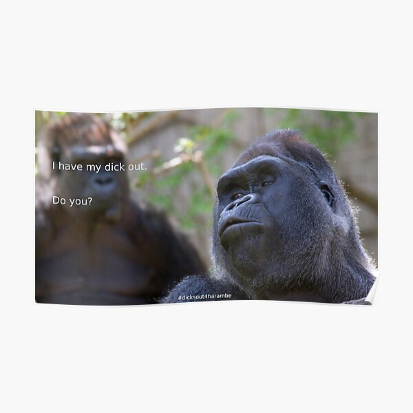 Dicks out 4 Harambe Poster