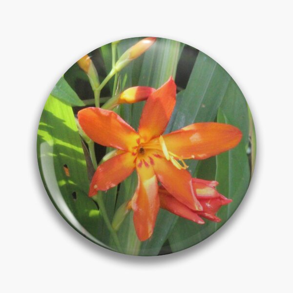 Artikelvorschau, Blumenfoto entworfen und verkauft von xprshnz-designs.