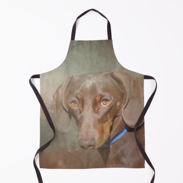 Item preview, Chocolate Brown Dachshund designed and sold by Elisabeth Lucas.