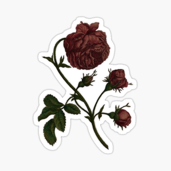 Item preview, Dark Academia Vintage Rose designed and sold by leoninestudios.