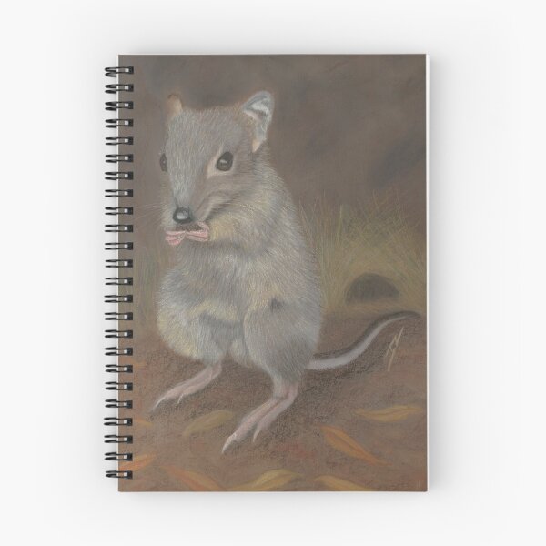 Item preview, "Truffles" the Bettong designed and sold by NyreeMason.