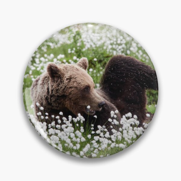 Item preview, Yoga time. Hare's-tail cottongrass and Brown bear 32 designed and sold by Jouko Lehto Photography.