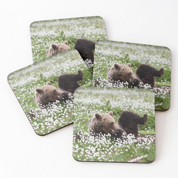 Item preview, Yoga time. Hare's-tail cottongrass and Brown bear 32 designed and sold by Jouko Lehto Photography.