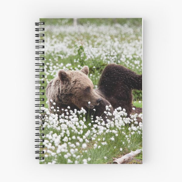 Item preview, Yoga time. Hare's-tail cottongrass and Brown bear 32 designed and sold by Jouko Lehto Photography.