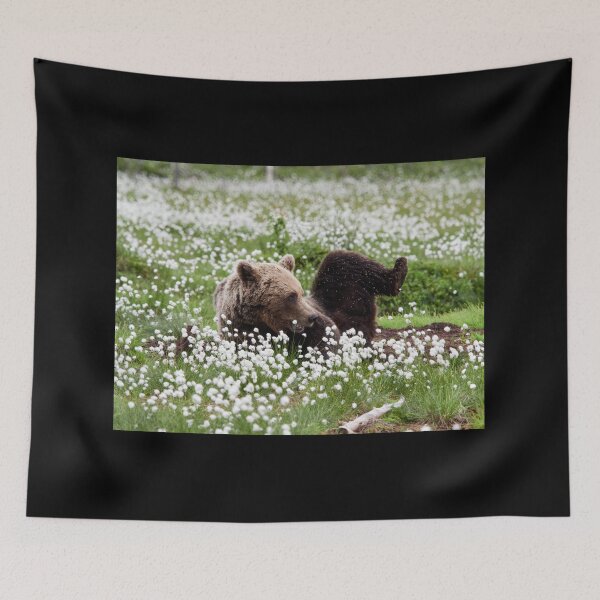 Item preview, Yoga time. Hare's-tail cottongrass and Brown bear 32 designed and sold by Jouko Lehto Photography.