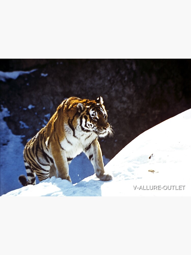Travelling Tiger by V-ALLURE-OUTLET
