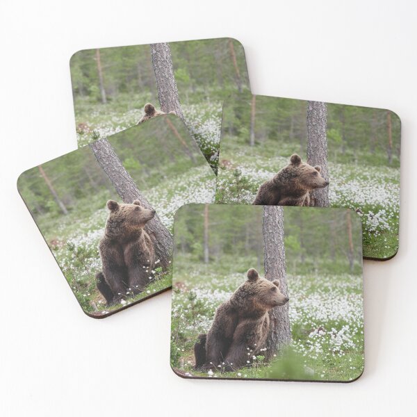 Item preview, Just missing someone. Hare's-tail cottongrass and Brown bear 42 designed and sold by Jouko Lehto Photography.
