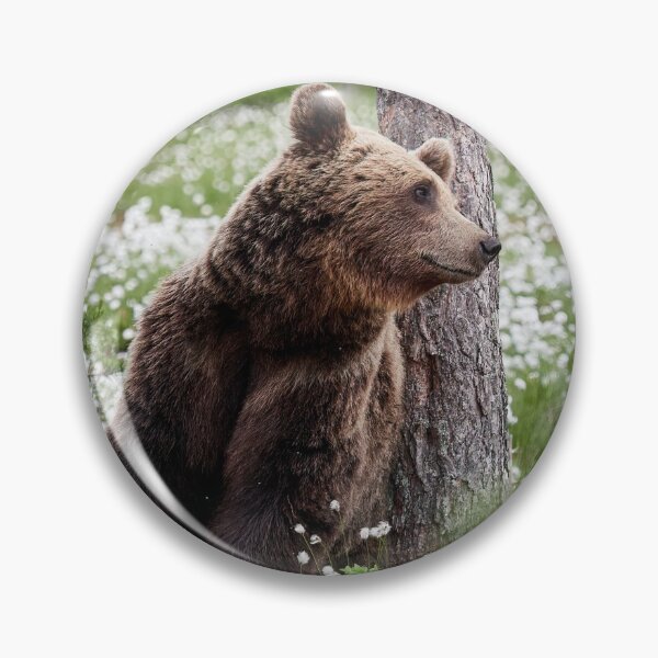 Item preview, Just missing someone. Hare's-tail cottongrass and Brown bear 42 designed and sold by Jouko Lehto Photography.