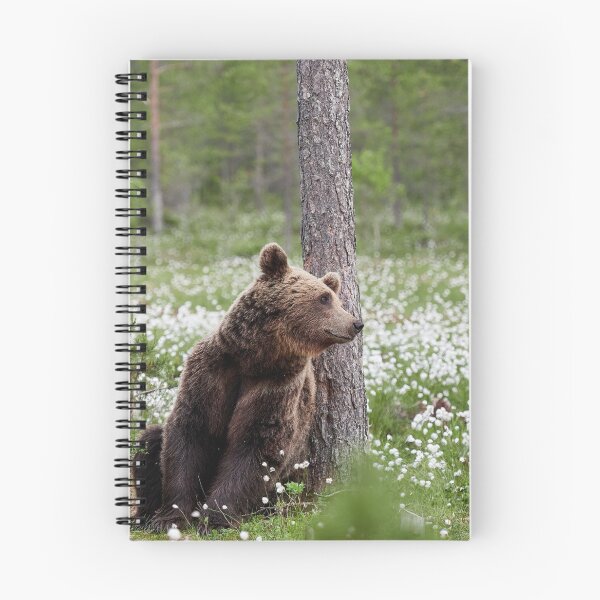 Item preview, Just missing someone. Hare's-tail cottongrass and Brown bear 42 designed and sold by Jouko Lehto Photography.